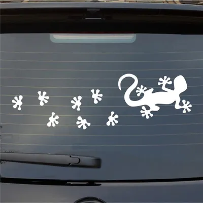 Produktbild von Heckscheibenaufkleber Gecko Tapsen Echse Dragon Lurch Agame Fußspuren 55x25 cm Weiss Matt Auto Aufkleber Sticker