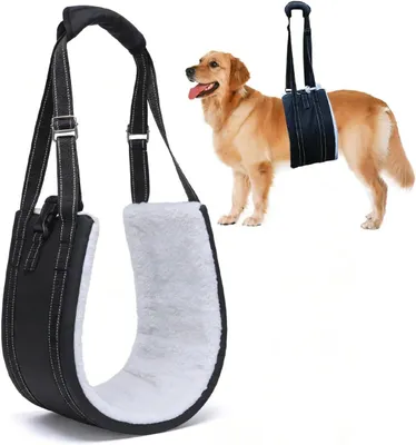 Produktbild von Hunde-Tragehilfe für Treppensteigen, verstellbarer Tragegurt, für ältere Hunde, Geschirrbefestigung