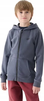 Imagen del producto de Sudadera 4F M1295