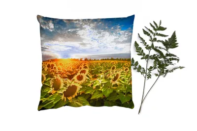 Produktbild von MuchoWow® Zierkissen Sofakissen Wohnzimmer Dekokissen 60x60 cm Blumen - Sonnenblume - Himmel - Sitzfläche - Foto Polster