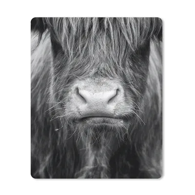 Produktbild von MuchoWow® Mauspad Mousepad Schottischer Highlander - Kuh - Schwarz - Weiß - Tiere 19x23 cm - Mousepads - Maus Mat - Pad - Mausunterlage - Mauspads - Spielen