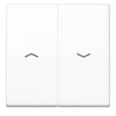 Immagine prodotto di Simboli del bilanciere Jung aws AS 591-5 PBF WW AS591-5PBFWW