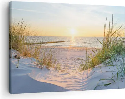 Produktbild von Bild auf Leinwand - Leinwandbild - Düne Strand Meer - 70x50cm - Wand Bild - Wanddeko - Wandbilder - Leinwanddruck - Bilder - Kunstdruck - Wanddekoration - Leinwand bilder - Wandkunst - AA70x50-3989