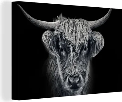 Produktbild von OneMillionCanvasses® - Leinwandbilder - 150x100 cm, Schottisches Hochlandrind - Schwarz - Kuh - Tiere, Wandbilder Kunstdruck Wanddekoration - Foto auf Leinwand - Gemälde auf