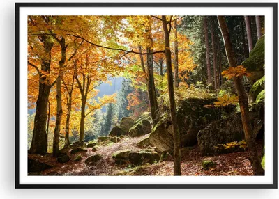 Produktbild von Gerahmtes Poster - Schwarzer Rahmen - Herbst berg wald natur - 100x70 cm - Wand Bild - Wanddeko - Wandbilder - Wandposter - Bilderrahmen - Bilder - Kunstdruck - Wandbild - P2BAA100x70-2713