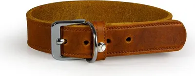 Produktbild von Das Lederband Halsband Weinheim