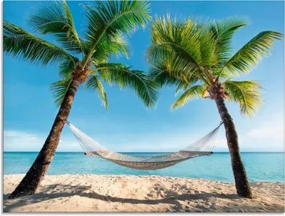 Produktbild von eyetronic: Urlaub am Palmenstrand in der Karibik mit Hängematte - Glasbild, Größe:45x60 cm / Glasbild