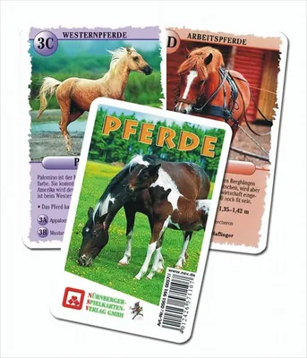 Produktbild von Quartett Pferde