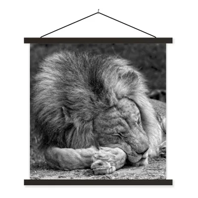 Produktbild von MuchoWow® Textilposter Löwe - Afrika - Schwarz 60x60 cm mit schwarzem Rahmen - Posteraufhänger