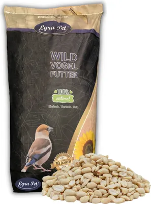Produktbild von 25 kg Lyra Pet® Erdnusskerne halbe blanchiert