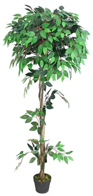 Produktbild von Decovego Künstlicher Ficus Benjamin, Kunstpflanze, 160 cm Kunstbaum