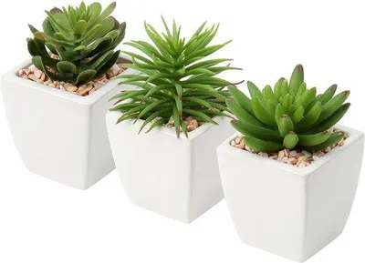 Produktbild von Famanu Set von 3 Kunstpflanzen mit Keramiktöpfen - Höhe 11,5 cm