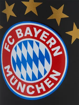 Produktbild von FC Bayern München Tasse Logo schwarz schwarz STK