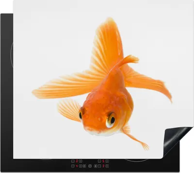 Produktbild von KitchenYeah© Herdabdeckplatte Fische - Goldfisch - Weiß , 57x51cm, Küche Deko, Glaskeramikkochfeld Herdabdeckung, Abdeckplatte fùr Kochfeld