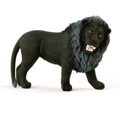 Obrázok produktu pre schleich WILD LIFE Black Lion, 3 rok / roky, Safari, Wild animals / adventure toys, Čierna