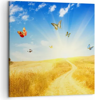 Produktbild von Bild auf Leinwand - Leinwandbild - Schmetterlinge Wiese Gras - 60x60cm - Wand Bild - Wanddeko - Leinwanddruck - Bilder - Kunstdruck - Wanddekoration - Leinwand bilder - Wandkunst - AC60x60-0517