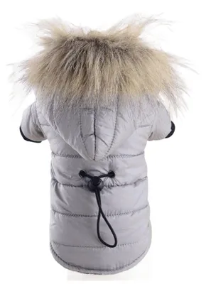 Produktbild von Surtep Animals Winterjacke mit Kapuze für Hund
