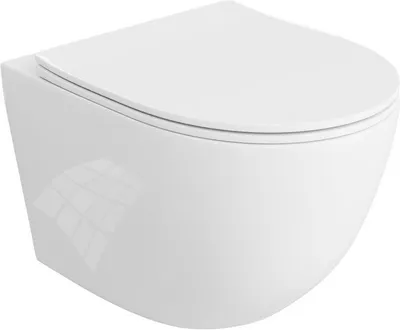 A white wall-mounted toilet with the lid closed, shown from a front-diagonal angle against a white background.
