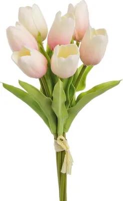 Image de Tulipes en mousse, lot de 7  rose foncé  | 81CAN056A_06