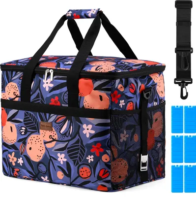 Produktbild von Packaway 4-lagige isolierte Kühltasche – Lunchtasche 40 Liter – Valencia