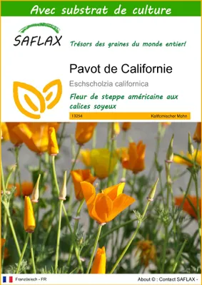 Image de SAFLAX - Pavot de Californie - 1500 graines - Avec substrat - Eschscholzia
