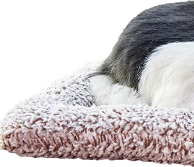 Produktbild von Aktivkohle-Hunde-Plüschtier, Geruchsentfernung, Luftreinigung, schlafende Haustierfigur für Auto, Zuhause, Büro