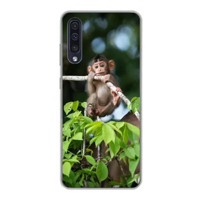 Produktbild von MuchoWow® Handyhülle Schutzhülle Hülle für Samsung Galaxy A30s Baby - Affe - Äste Silikon Softcase Handy Hülle - Karteninhaber
