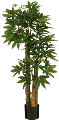 Produktbild von Mica Decorations Pachira Kunstpflanze- H175 x Ø85 cm - Grün