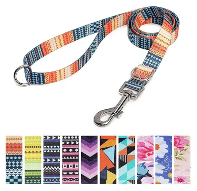 Immagine prodotto di Guinzaglio per cani, regolabile, in nylon, arancione, 120 cm x 2 cm, con doppio anello a D