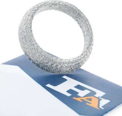 Produktbild von FA1 Dichtring Abgasrohr 781-954 für RENAULT Clio III Schrägheck (BR0/1, CR0/1) 16mm 54mm 70mm