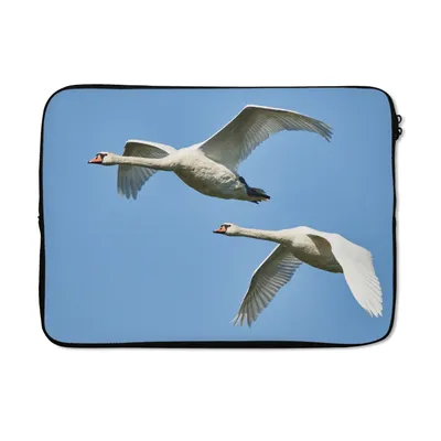 Produktbild von MuchoWow® Laptop Hülle 13 Zoll Schwan - Vogel - Himmel - Blau Laptoptasche - Laptophülle - Sleeve - Rundumschutz