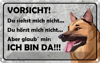 Produktbild von vianmo Blechschild 12x18 cm Vorsicht Hund Du siehst mich nicht Spruch Zitat