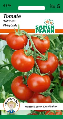 Artikelbild 1 von 'Freilandtomate Hildares F1' aus der Kategorie Buschtomatensamen