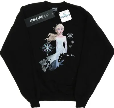 Produktbild von Disney - "Frozen 2" Sweatshirt für Herren BI25025 (M) (Schwarz)