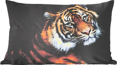 Produktbild von MuchoWow® Zierkissen Sofakissen Wohnzimmer Dekokissen 50x30 cm Tiger - Porträt - Schwarz - Wohnzimmerdekoration - Polster mit Photo