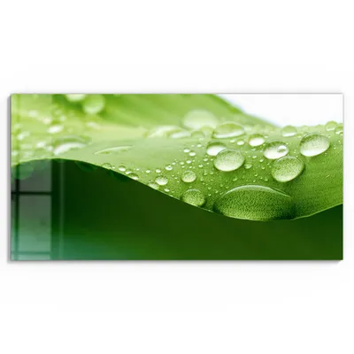 Produktbild von DEQORI Glasbild Echtglas 60x30 cm 'Tropfenfrische' Wandbild Bild modern Deko