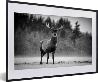 Produktbild von MuchoWow® Gerahmtes Poster Tiere - Hirsche - Winter - Schwarz - Weiß 60x40 cm - Poster mit Schwarzem Bilderrahmen Wandposter Rahmen Foto Bilder - Schlafzimmer - Plakat in Rahmen - Drucken