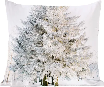 Produktbild von MuchoWow® Zierkissen Sofakissen Wohnzimmer Dekokissen 60x60 cm Winter - Baum - Schnee - Kiefer - Weiß - Sitzfläche - Foto Polster