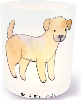 Produktbild von Mr. & Mrs. Panda Kerzenhalter Glas Border Terrier Moment - Transparent - Geschenk, Teelicht, Outdoor Windlicht, aus, Teelichthalter, Draußen