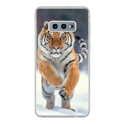 Produktbild von MuchoWow® Handyhülle Schutzhülle Hülle für Samsung Galaxy S10e Tiger - Landschaft - Schnee - Tiere Silikon Softcase Handy Hülle - Handy