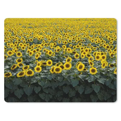 Produktbild von MuchoWow® Mauspad Mousepad Blumen - Sonnenblume - Feld 40x30 cm - Mousepads - Maus Mat - Pad - Mausunterlage - Anti Rutsch
