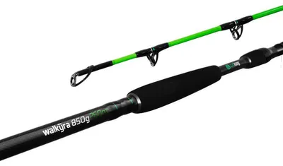 Obrázek produktu pro Delphin Prut Walkyra 260cm 850g