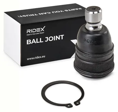 Produktbild von RIDEX Traggelenk Vorne Unten für MAZDA 5 (CR19) 2462S0314