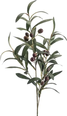 Produktbild von künstlicher Olivenzweig mit 4 Zweigen H. 75cm grün braun Emerald Kunstblumen
