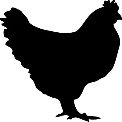 Produktbild von Kreidetafel-Aufkleber – abwischbare Wandaufkleber – Huhn – 110 x 110 cm
