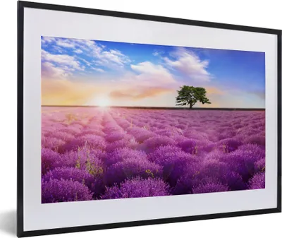 Produktbild von MuchoWow® Gerahmtes Poster Lavendel - Baum - Sonnenuntergang - Lila 60x40 cm - Poster mit Schwarzem Bilderrahmen Wandposter Rahmen Foto Bilder - Schlafzimmer - Plakat in Rahmen - Drucken