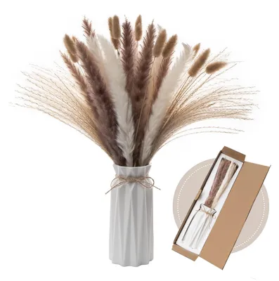 Pampasgras-Set mit Vase, 44 Stück, Naturtrockenblumen, Boho-Deko
