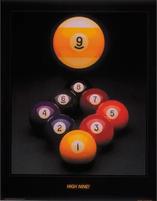 Zdjęcie produktu dla Plakat „High Nine”, wymiary: 76 × 61 cm
