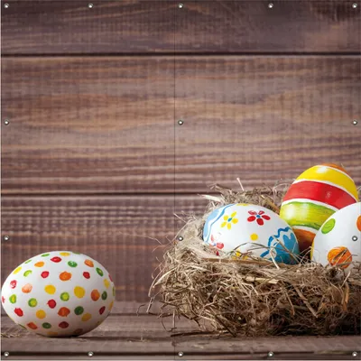 Produktbild von Wallario Outdoor-Poster für Garten oder Balkon, Motiv Bunte bemalte Eier an Ostern im Vorgelnest vor hölzerner Wand, in ca. 180 x 180 cm