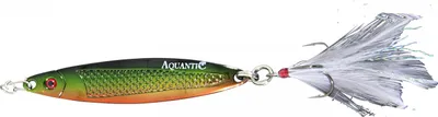 Obrázek produktu pro AQUANTIC Incasy 25g | Meeresblinker